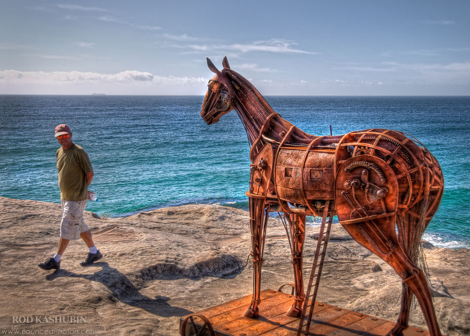 A Sculpture by the Sea at Bondi