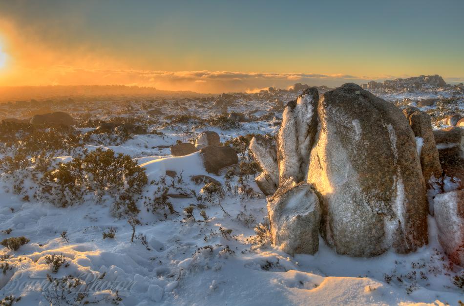 Frozen Plateau of Mount Wellington