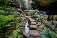 Grand Canyon Stepping Stones, Blue Mountains, Australia