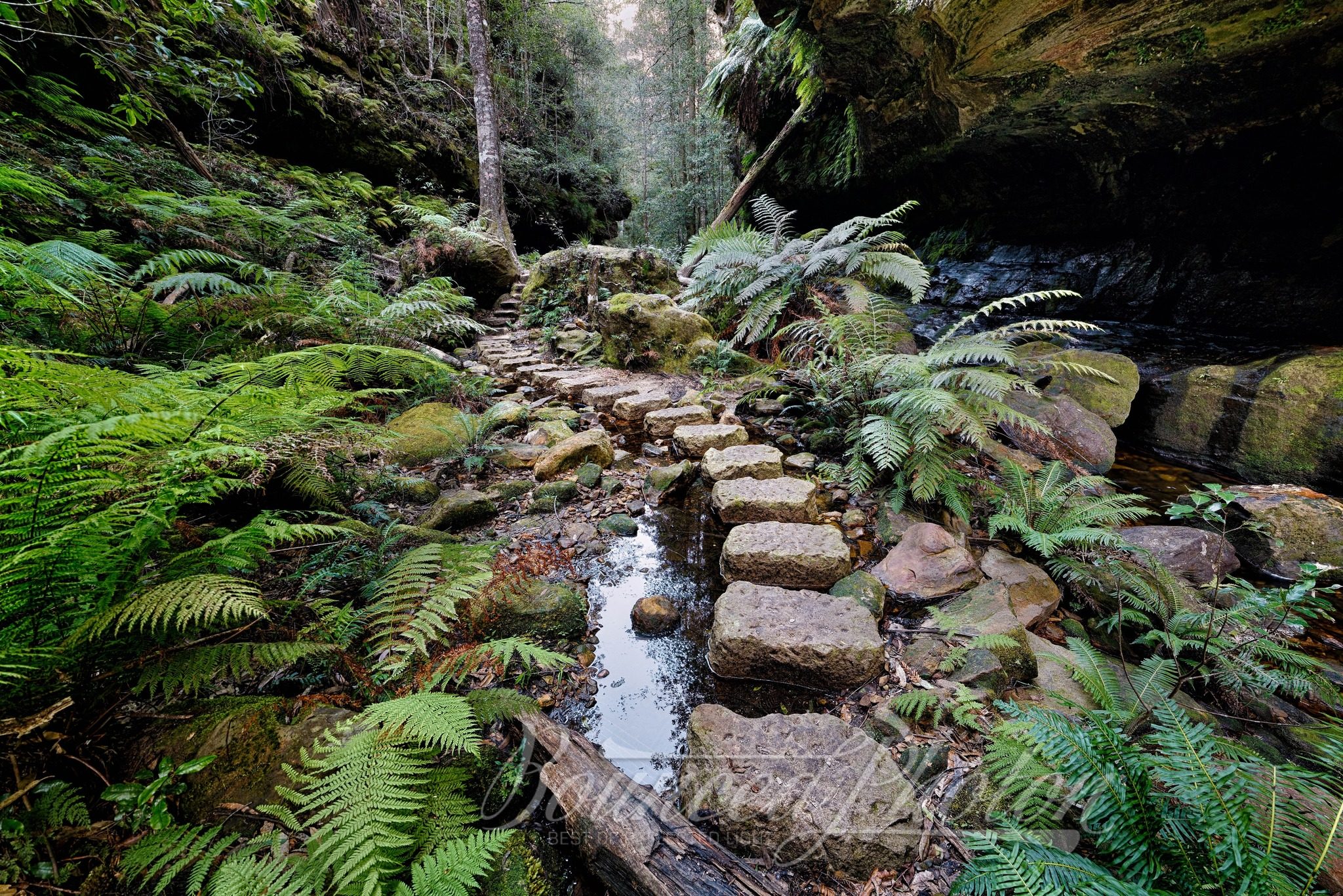 Grand Canyon Stepping Stones, Blue Mountains, Australia
