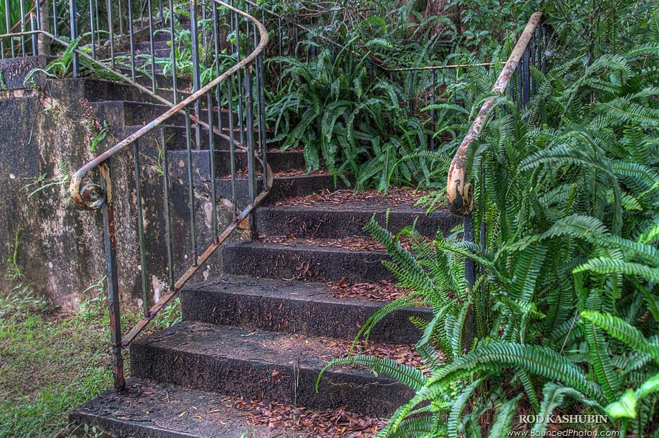 Old Stairs In Audley