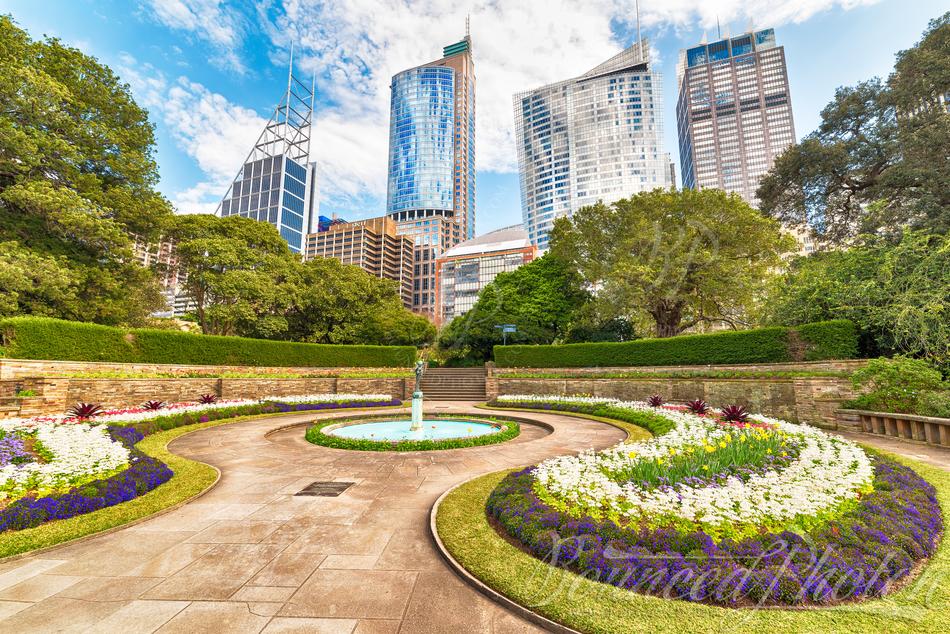 Sydney CBD from Royal Botanic Garden