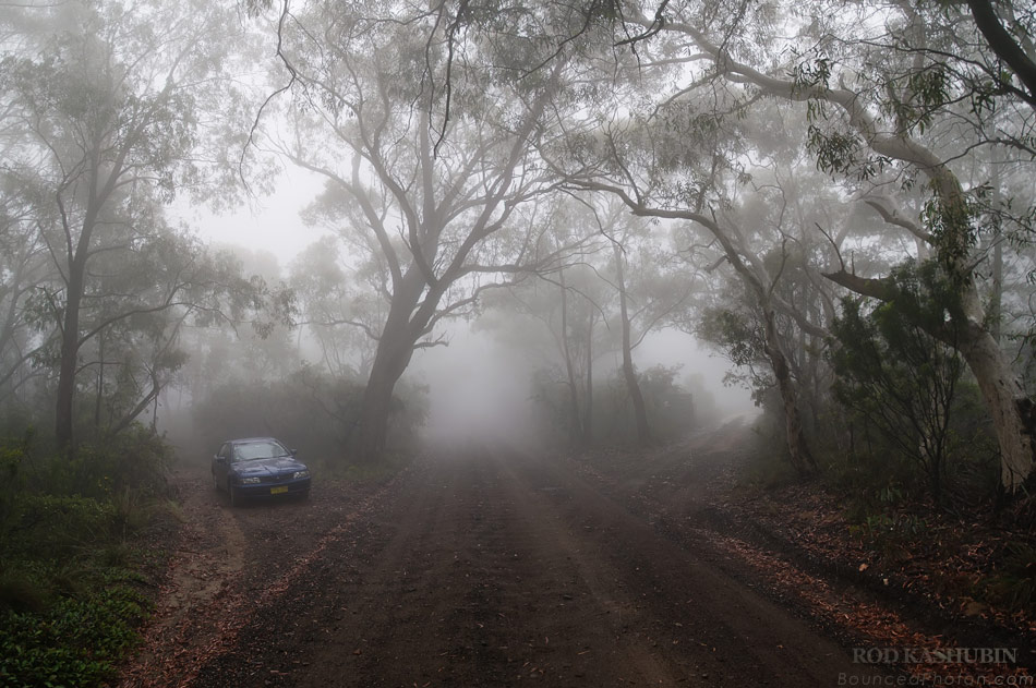 Foggy Road to Anvil Rock Lookout