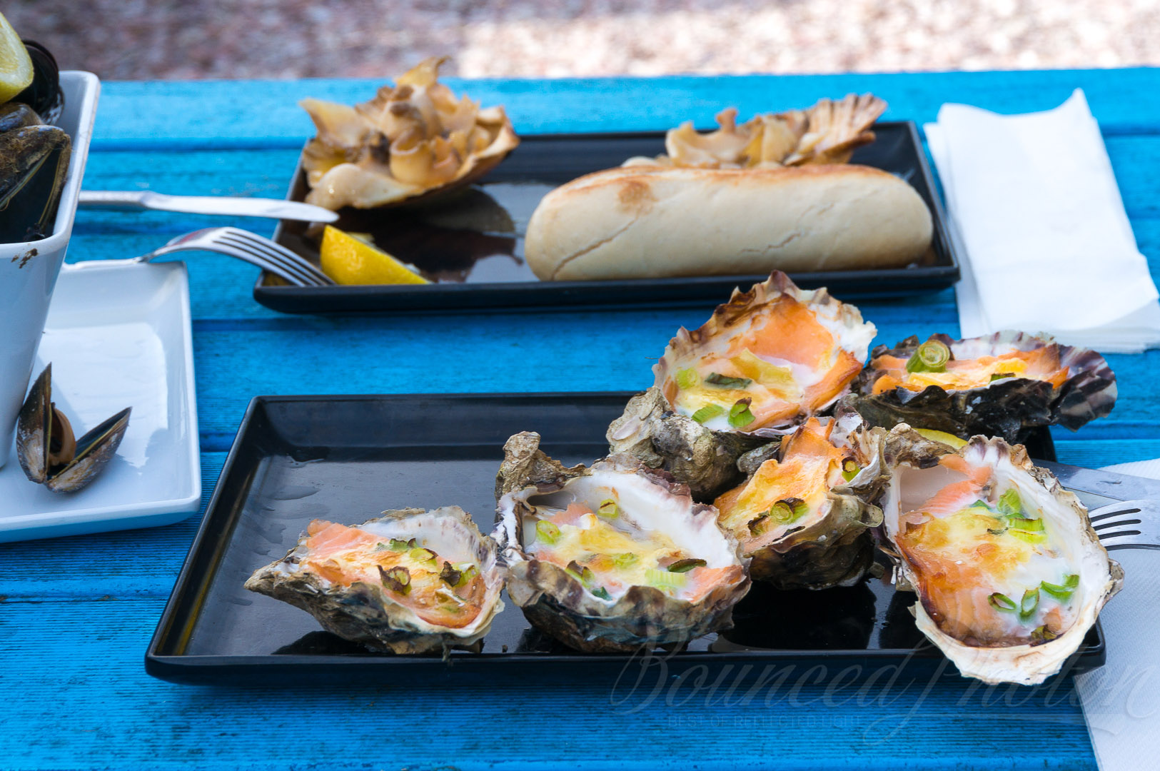 One of the treats at the farm: Oysters grilled with smoked salmon and brie